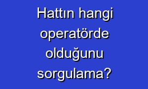 Hattın hangi operatörde olduğunu sorgulama?