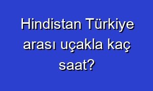 Hindistan Türkiye arası uçakla kaç saat?