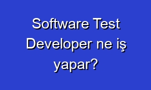 Software Test Developer ne iş yapar?