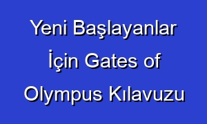 Yeni Başlayanlar İçin Gates of Olympus Kılavuzu