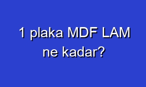 1 plaka MDF LAM ne kadar?