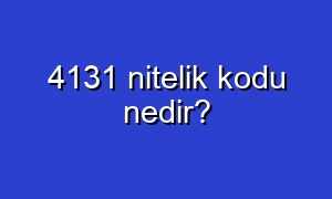 4131 nitelik kodu nedir?