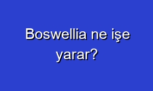 Boswellia ne işe yarar?