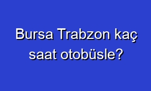 Bursa Trabzon kaç saat otobüsle?
