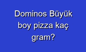 Dominos Büyük boy pizza kaç gram?
