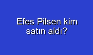 Efes Pilsen kim satın aldı?