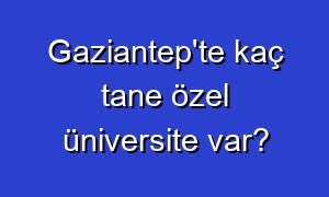 Gaziantep'te kaç tane özel üniversite var?