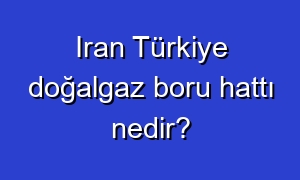 Iran Türkiye doğalgaz boru hattı nedir?