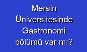 Mersin Üniversitesinde Gastronomi bölümü var mı?