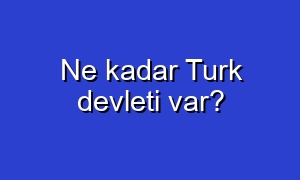 Ne kadar Turk devleti var?