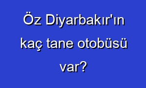 Öz Diyarbakır'ın kaç tane otobüsü var?