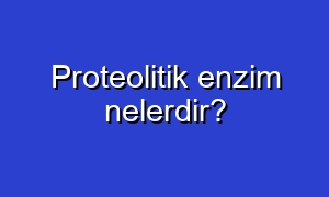 Proteolitik enzim nelerdir?