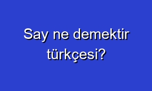 Say ne demektir türkçesi?