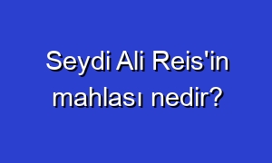 Seydi Ali Reis'in mahlası nedir?