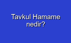 Tavkul Hamame nedir?