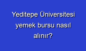 Yeditepe Üniversitesi yemek bursu nasıl alınır?